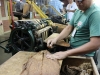 Deveining Tobacco Leaves (With Machine)