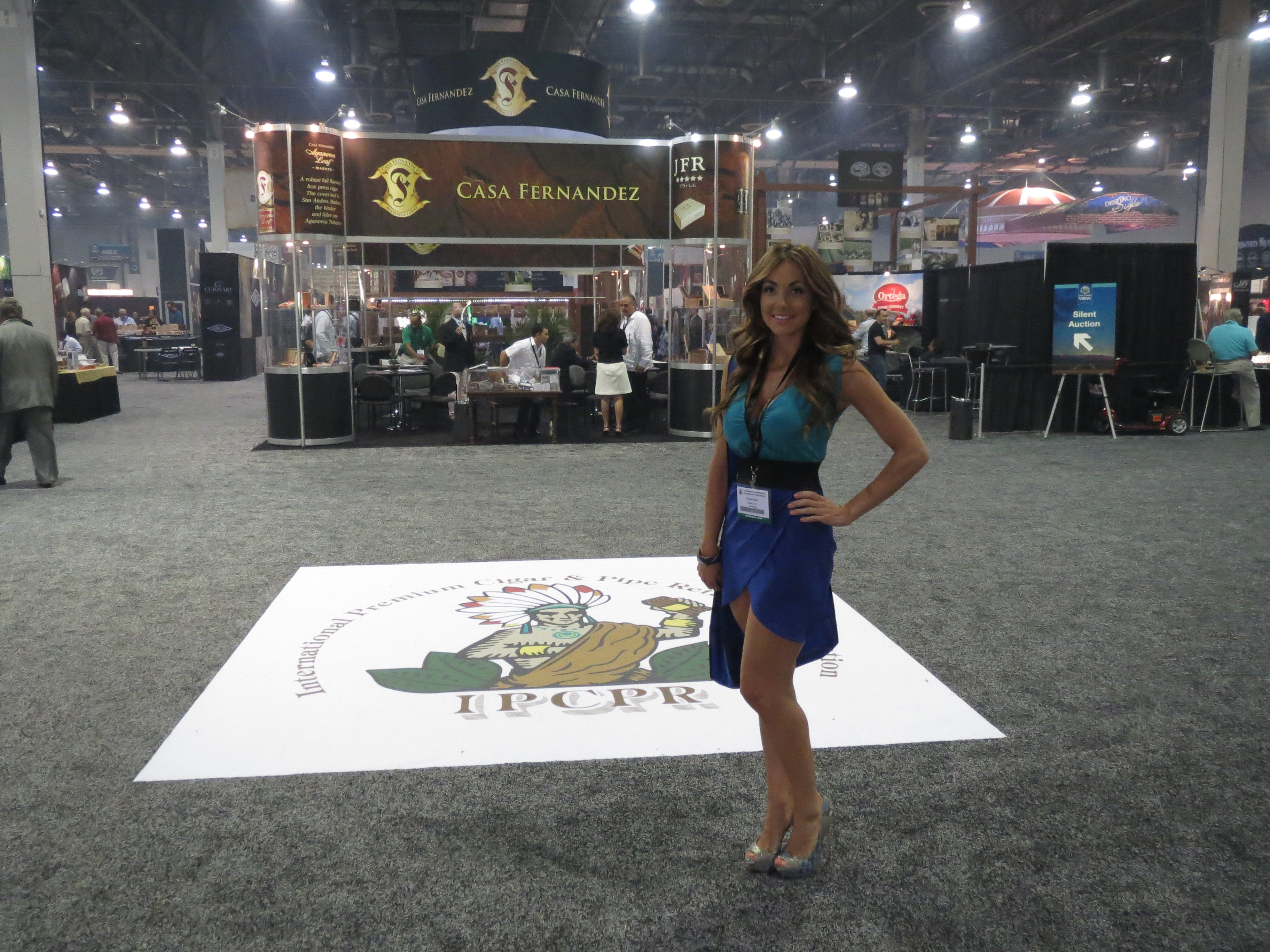 IPCPR 2013